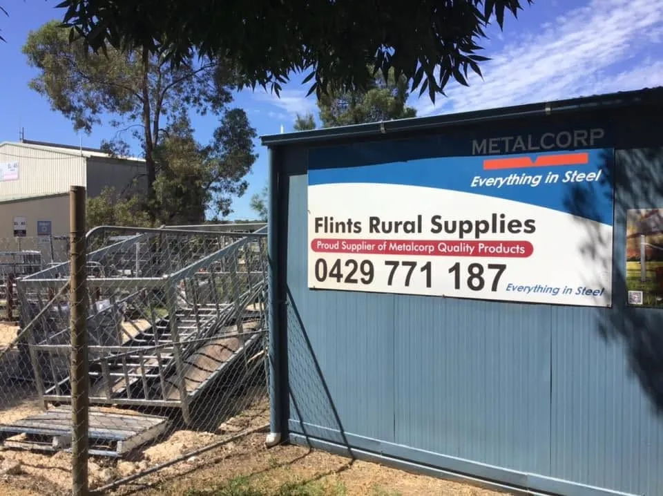 The Flint's Rural Supplies sign on the shed at Martin St, Coolah, with stock in the yard in front of it